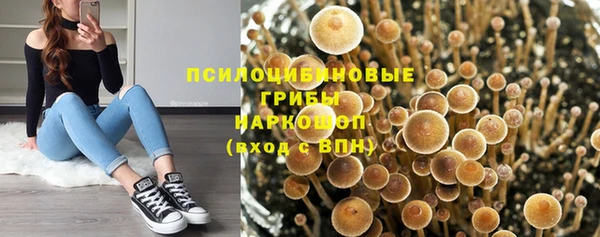 mdpv Арсеньев