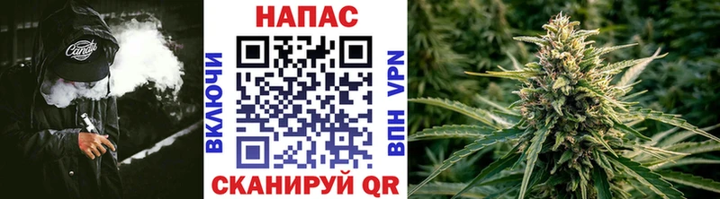 МАРИХУАНА планчик  продажа наркотиков  Сольвычегодск 